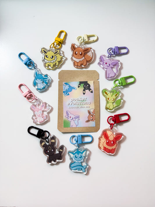 Pocket Evolution Keychain Blind Bag