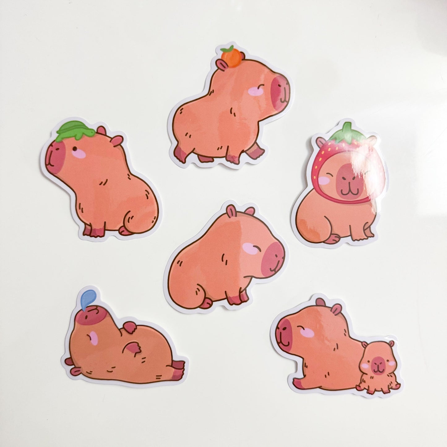 Capybara Stickers