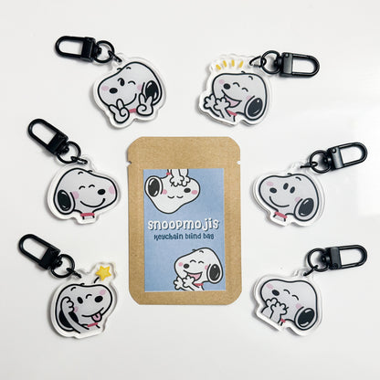 Puppy Keychain Blind Bag